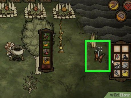 healing salve dont starve|don t starve how to heal.